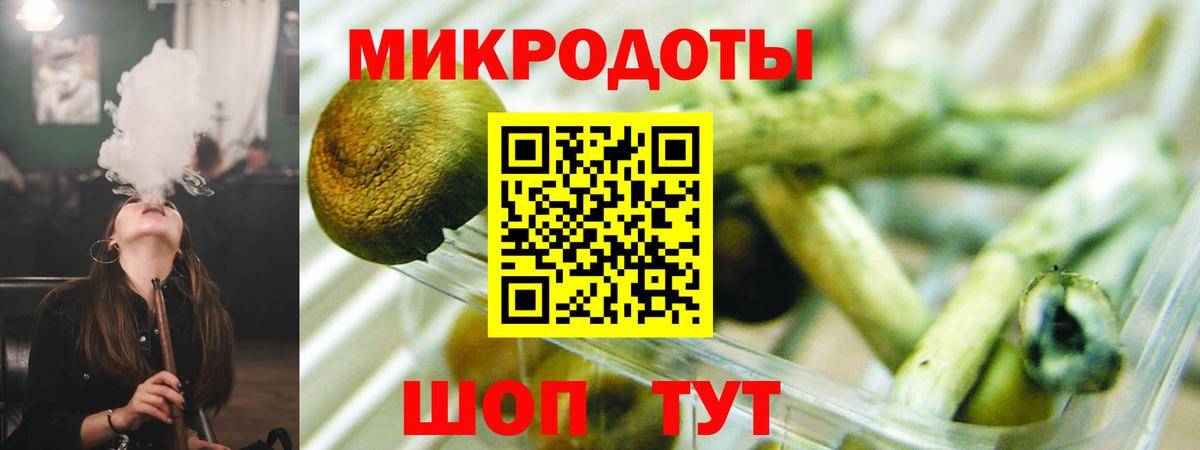 Галлюциногенные грибы Magic Shrooms Верхняя Пышма